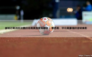 参加过美洲杯决赛的非南美国家有哪些-足坛风向标