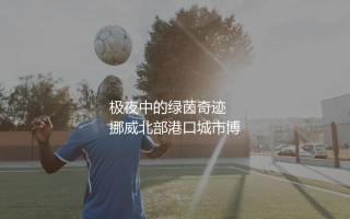 博德闪耀又叫什么名字？极夜中的绿茵奇迹