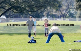 米查路文斯足球俱乐部（Michalovce）简介|球门之间