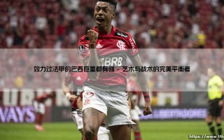 效力过法甲的巴西巨星：桑巴舞步如何征服法兰西赛场？