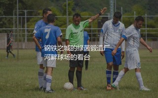 米德尔斯堡出品过哪些球星？钢铁之城的绿茵锻造厂