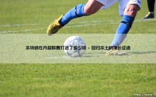 本特纳在丹超联赛打进了多少球：一名被低估射手的数据之路