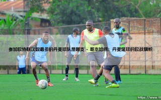 参加欧协联次数最多的丹麦球队是哪支？——揭秘丹麦足球的欧战常客