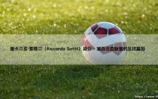 里卡尔多·索蒂尔：佛罗伦萨青训营走出的意大利边路新星
