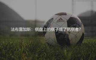 法布雷加斯：棋盘上的棋子成了执棋者？  法布雷加斯执教什么水平？