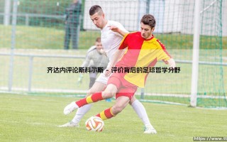 齐达内评论斯科尔斯：中场大师间的无声对话