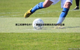 德乙和德甲合并？德国足球联赛体系的重构猜想 德乙和德甲合并？联赛格局的潜在革命