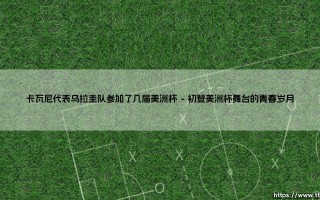 卡瓦尼代表乌拉圭队参加了几届美洲杯？—— 揭秘「天蓝军团」老将的杯赛征程