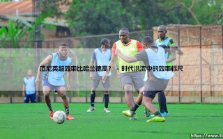范尼英超效率比哈兰德高？数据揭示：禁区之王效率神话再审视