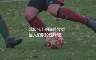 博德闪耀是哪家足球俱乐部？北极光下的绿茵异类