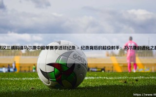 武汉三镇前锋马尔康与他的中超单赛季进球纪录