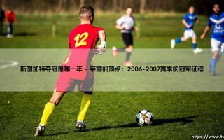 斯图加特夺冠是哪一年：回顾斯图加特问鼎德甲的荣耀时刻