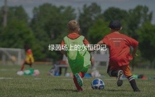 澳大利亚队历史最佳射手是谁？袋鼠军团绿茵场上的永恒印记