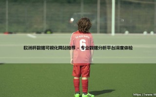 欧洲杯数据可视化网站推荐【远方的球门】