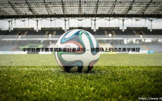 中甲联赛下赛季摄影爱好者采风：光影与绿茵的激情交响