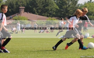 FIFA如何检测球员年龄——探秘足球年龄验证的科学机制