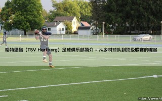哈特堡格（TSV Hartberg）足球俱乐部简介_即时足球