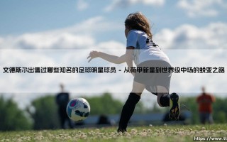 文德斯尔出售了哪些知名球星？文德斯尔售出的顶级球员大盘点