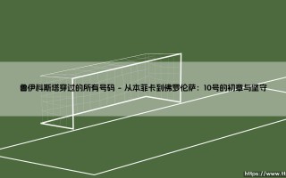 鲁伊·科斯塔穿过的所有号码：一件球衣，一段传奇