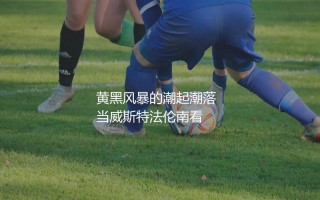 多特蒙德几次德甲冠军?威斯特法伦黄黑风暴的潮起潮落