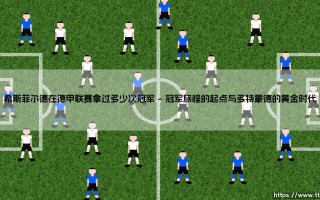 希斯菲尔德在德甲联赛拿过多少次冠军【远方的球门】