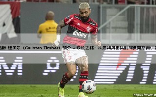 昆滕·廷贝尔（Quinten Timber）简介【足球故事】
