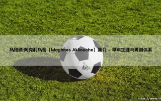 马格纳·阿克利乌舍（Maghnes Akliouche）简介介绍