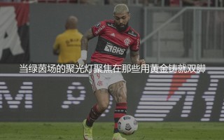 荷兰队身价最高的球员是谁？橙衣军团身价最贵的球员
