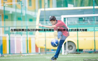 在挪超联赛出场过的伊朗球星有哪些|磁儿足球说