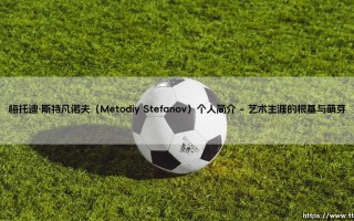 梅托迪·斯特凡诺夫：一位融汇音乐与文化的艺术家之旅