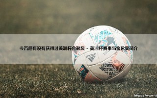 卡瓦尼有没有获得过美洲杯金靴奖【足球之家】