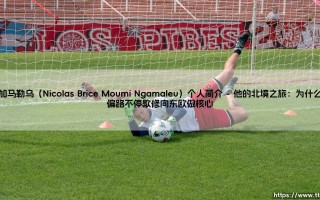 恩加马勒乌（Nicolas Brice Moumi Ngamaleu）个人简介：从非洲大陆到国际舞台的足球人生
