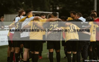 奥斯纳布吕克足球俱乐部（VfL Osnabrück）简介【远方的球门】