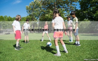 卡尔马青训还在坚持？「北欧童话」的造星工厂是否依然闪耀？