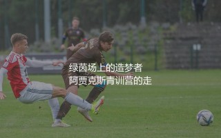 阿贾克斯历史助攻王是谁,绿茵场上的造梦者：他并不是球星加工厂最耀眼的明星