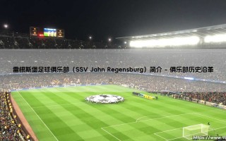 雷根斯堡足球俱乐部：传统豪门的荣耀与新生，雷根斯堡足球俱乐部的传奇征程