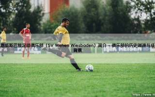 SV Wehen Wiesbaden：一支德乙新军的足球传奇，你了解多少？- 韦恩威斯巴登足球俱乐部的崛起之路