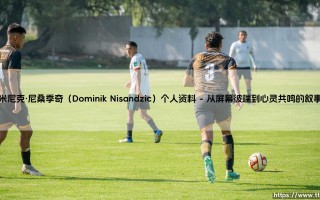 多米尼克·尼桑季奇：在互联网喧嚣中构筑意义之城的数字游民