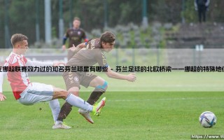 在挪超联赛效力过的知名芬兰球星有哪些？——探寻北欧足球的芬兰足迹