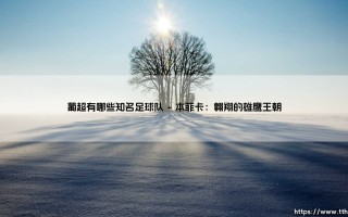 葡超有哪些知名足球队？探索葡萄牙足球顶级联赛的豪门劲旅