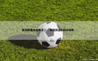 英冠联赛奖金有多少？揭秘英格兰次级联赛的财富密码