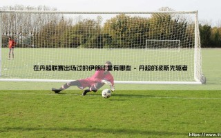 在丹超联赛出场过的伊朗球星有哪些「足坛哨声」