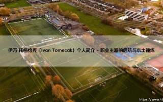 伊万·托梅恰克（Ivan Tomecak）个人简介（足球那些事儿）