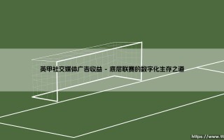 英甲社交媒体广告收益的崛起与变革