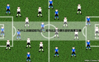 为什么说稳如哈马比？——揭秘哈马比为何成为网络时代「稳」的代名词