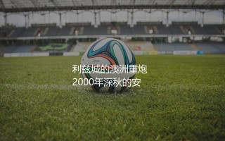 维杜卡在利兹联效力期间啥水平？利兹城的澳洲重炮