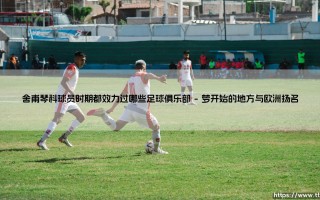 舍甫琴科球员时期都效力过哪些足球俱乐部「足坛哨声」