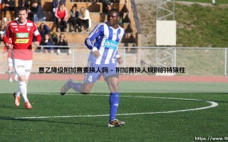 意乙降级附加赛要换人吗？揭秘「意乙升降级」这些规则你可能不知道！