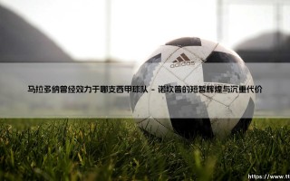 马拉多纳效力西甲球队的传奇与反思