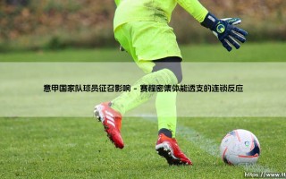 意甲联赛中国家队球员征召的涟漪效应：荣耀背后的双刃剑